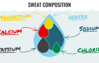 sweat compostion inforgraphic