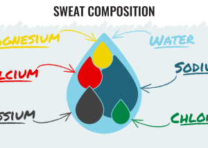 sweat compostion inforgraphic